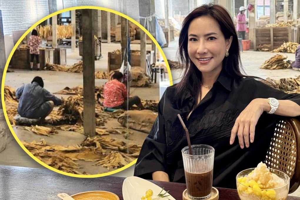 A politician in Thailand has been accused of promoting a “human zoo” after posting a photograph of herself online in which she is looking at factory workers on the job through a floor-to-ceiling café window. Photo: SCMP composite/Facebook/X