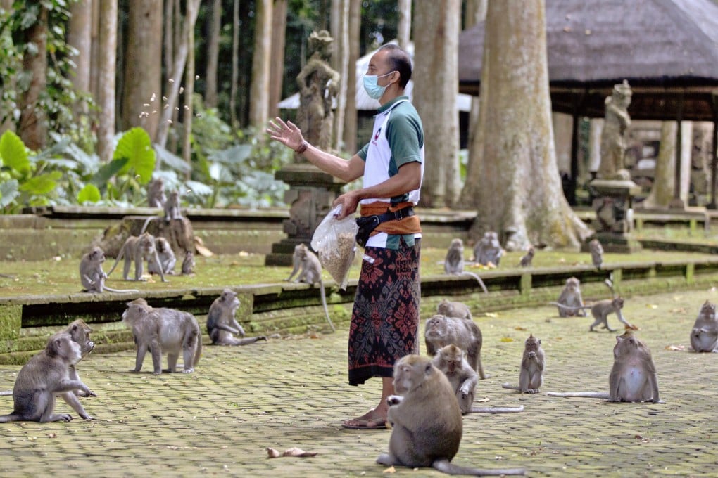 Feeding time at Sangeh Monkey Forest in Bali. Photo: AP