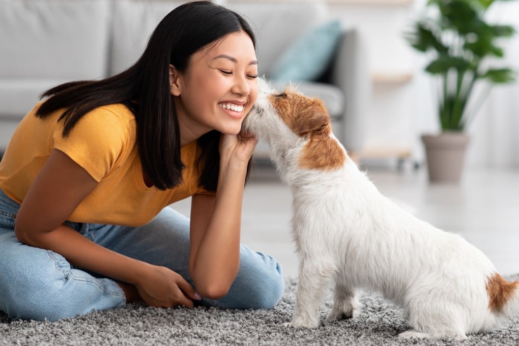 Most owners do not spend their lives frustrated by their dogs; they love them anyway. Like dogs, human spouses have flaws, but if we manage our expectations and practise acceptance, much suffering will end, Korean monk Venerable Pomnyun is telling us. Photo: Shutterstock