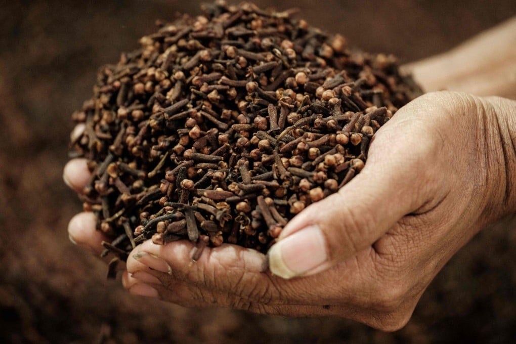 A worker holds a handful of clove pods at a spice sorting shop in Ternate, Indonesia. Photo: AFP