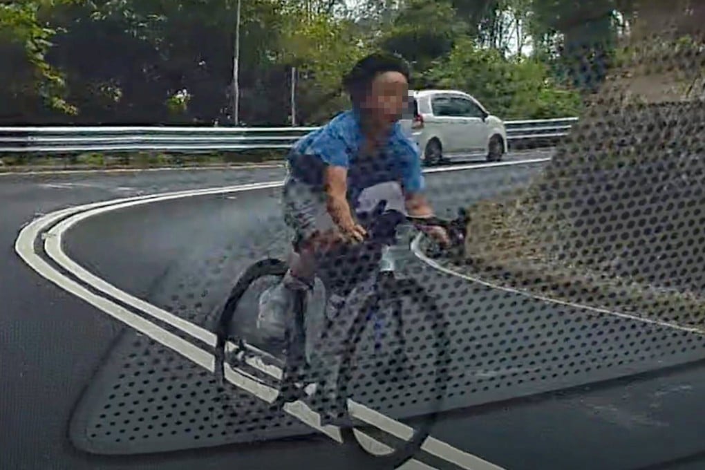 The dashcam clip with the boys was taken at an undisclosed spot on Saturday. Photo: Handout