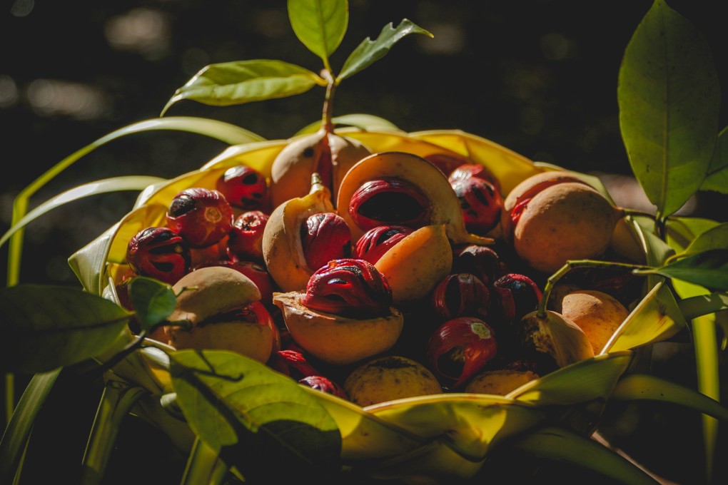 Mace, from the same plant as nutmeg, is better bought pre-ground unless you intend to use it in stews or braised dishes. Photo: Shutterstock