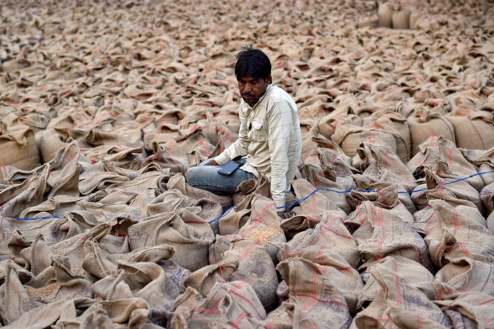 A labourer sits on sacks of wheat grains at a wholesale market in Jalandhar, India on April 28. Photo: AFP