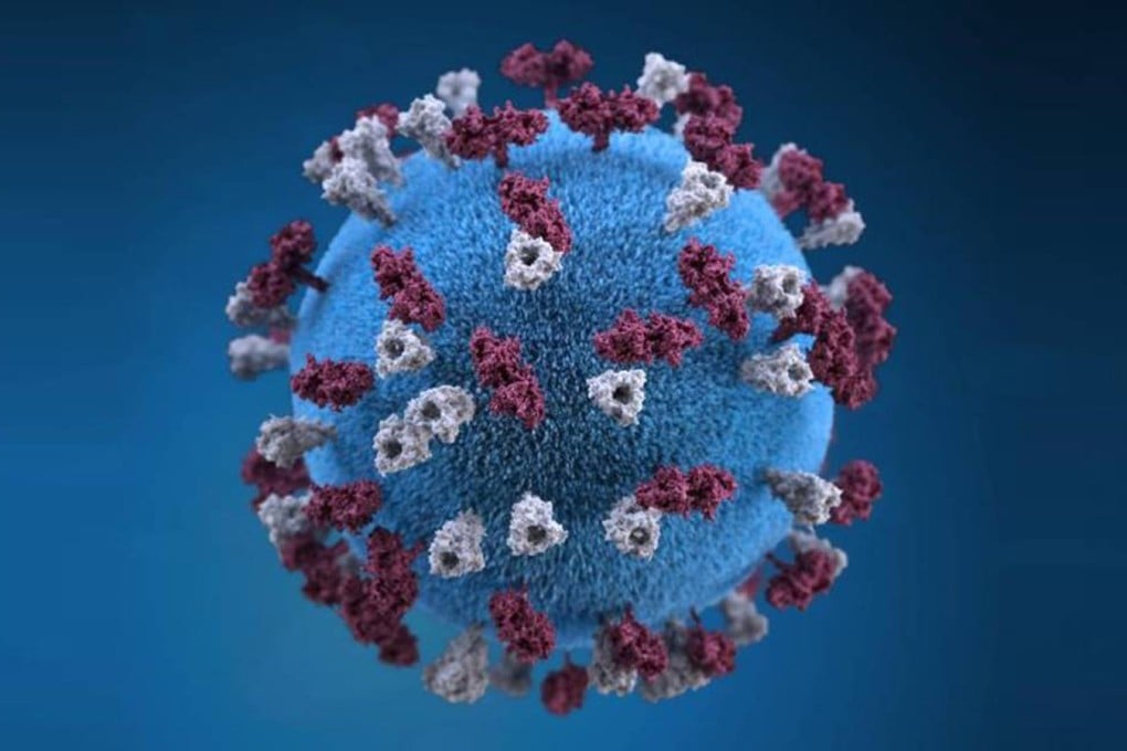 A 3D model of the measles virus. Image: US Centres for Disease Control and Prevention via TNS