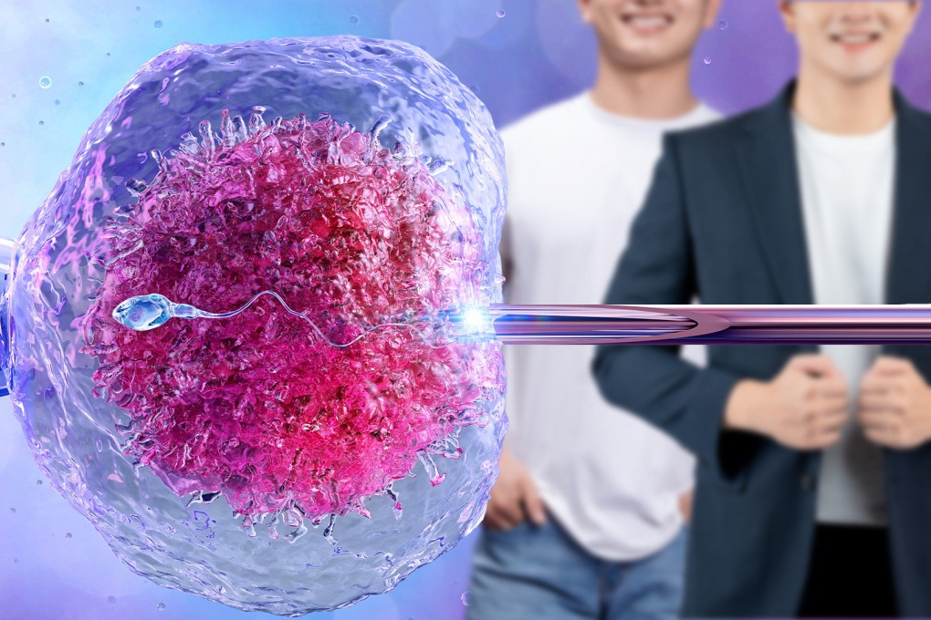A hospital in eastern China is under investigation for providing IVF services for single women, enabling them to meet and assess potential sperm donors. Photo: SCMP composite/Shutterstock