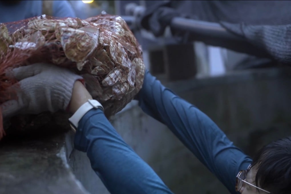 Bags of oyster shells with babies attached are removed from a growing tank in a still from a documentary that looks at the historical decline of oyster beds around Hong Kong, and ongoing restoration efforts. Photo: Mike Sakas