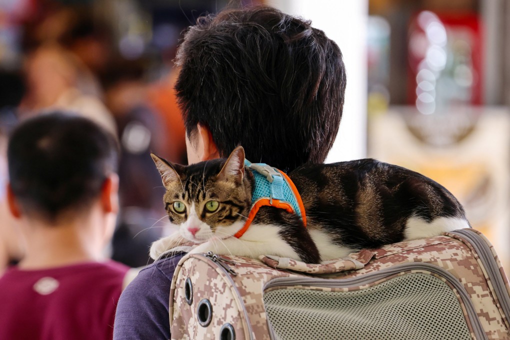 Hong Kong’s consumer watchdog has urged the public to consider adopting pets, avoid buying animals of unknown origin online and to patronise reputable licensed animal traders. Photo: Jelly Tse
