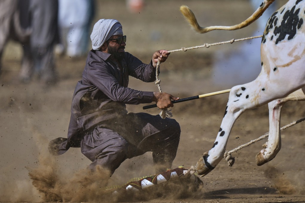 Pakistan’s traditional bull races a source of pride, and income, in ...