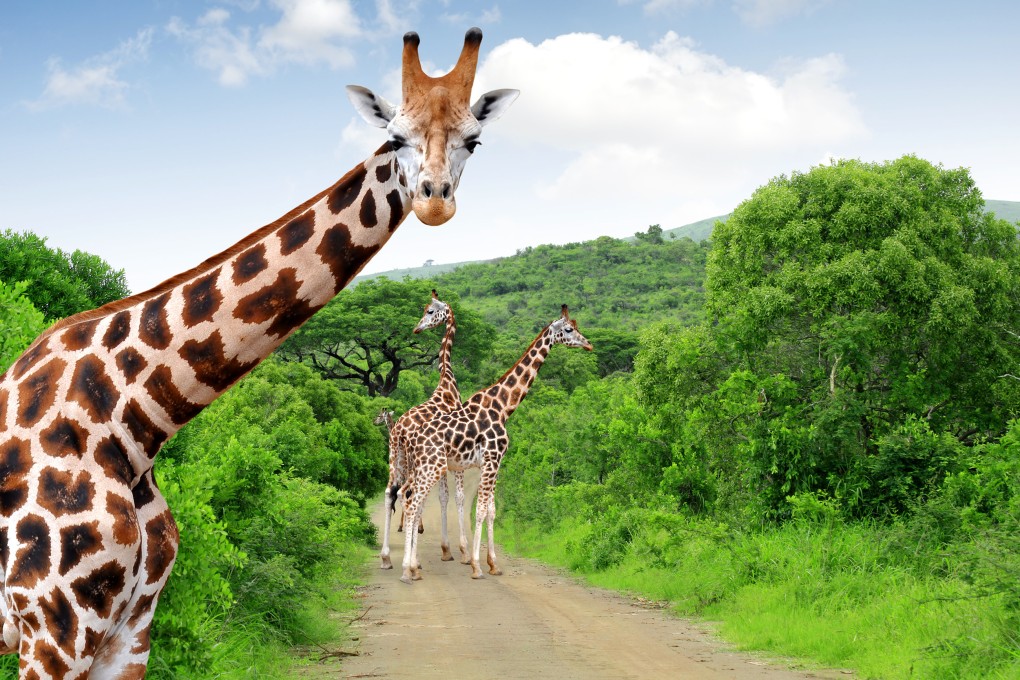 Penelitian Padi Tahan Dingin Tunjukkan Teori Lamarck Kembali Hidup