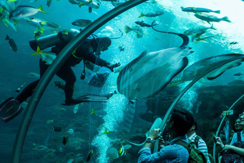 Tourists visit the SEA Aquarium on Singapore’s Sentosa Island in 2018. It will reopen as the Singapore Oceanarium in July. Photo: AFP
