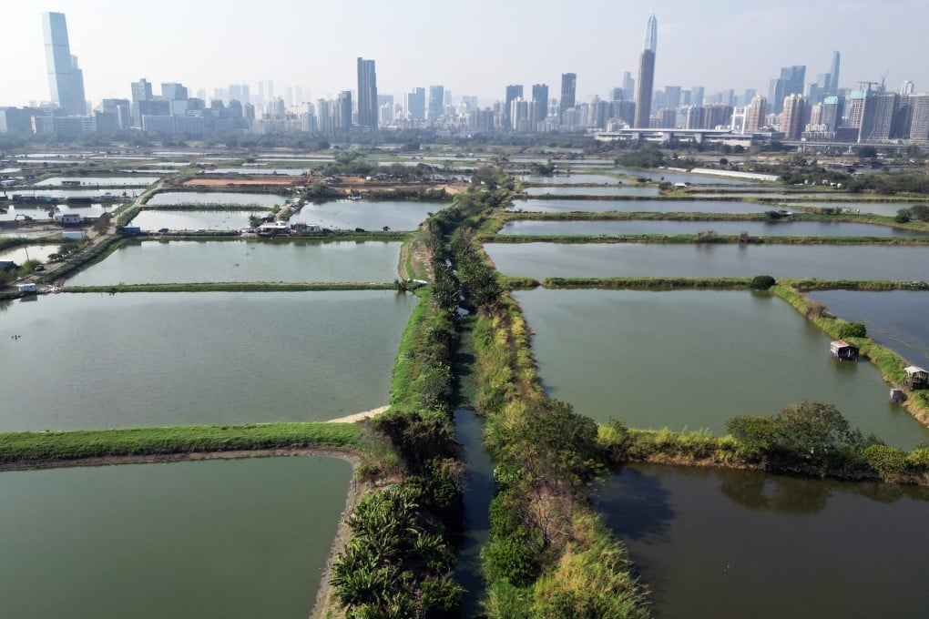 Hong Kong start-up Alcarbo Technologies, which is among the finalists of the 2025 EQT Impact Challenge, is cultivating outdoor algae strains in Yuen Long, in western New Territories, to tackle rising carbon dioxide emissions. Photo: May Tse