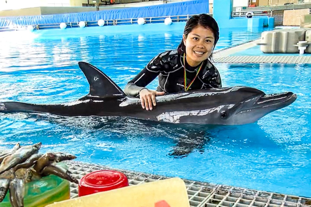 Rita, a 24-year-old Indo-Pacific bottlenose dolphin at Ocean Park, died last week, following signs of fatigue and loss of appetite. Photo: Ocean Park