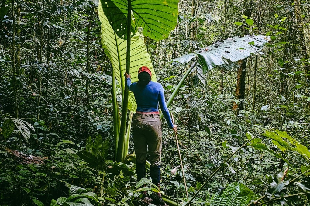 Writer Esslin Terrighena in the jungle. Photo: courtesy Esslin Terrighena