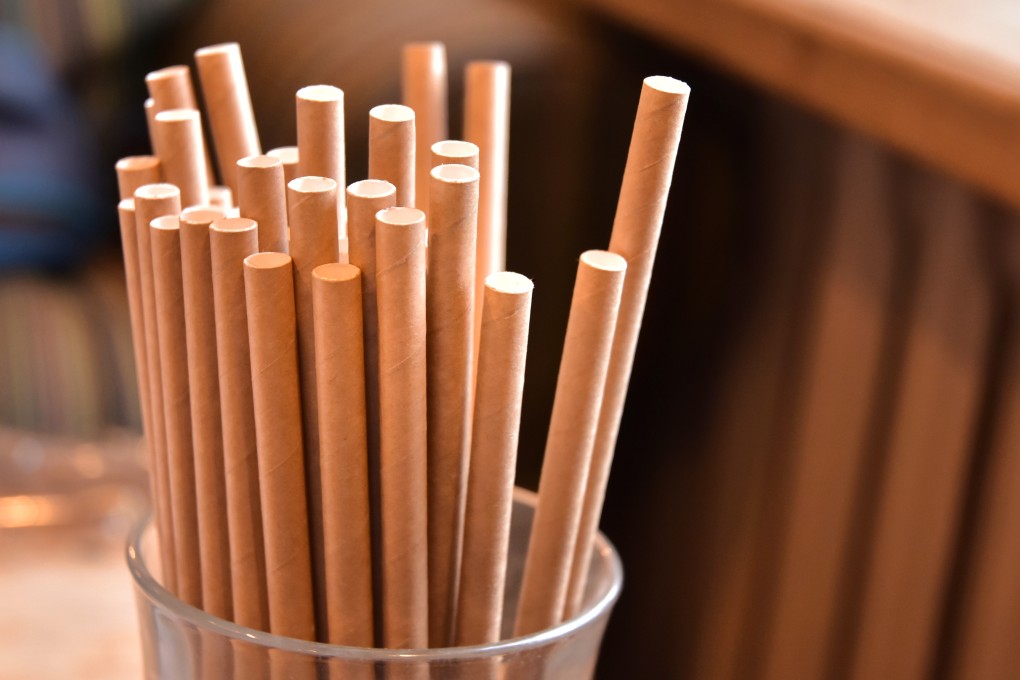 Soton Daily Necessities, based in Zhejiang province, bet on the growing environmental awareness among Western consumers. Photo: Shutterstock