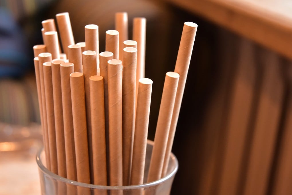 Soton Daily Necessities, based in Zhejiang province, bet on the growing environmental awareness among Western consumers. Photo: Shutterstock