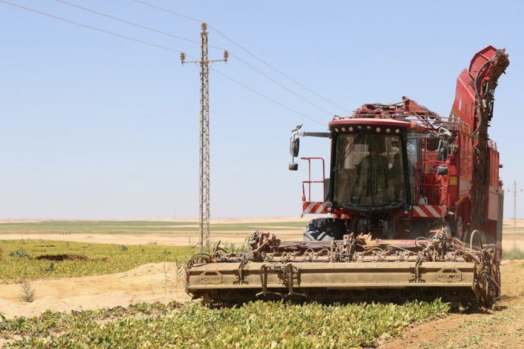 A harvester reaps beets at a plantation in a desert in Minya Province, Egypt, now home to the world’s biggest beet sugar factory. Photo: Xinhua