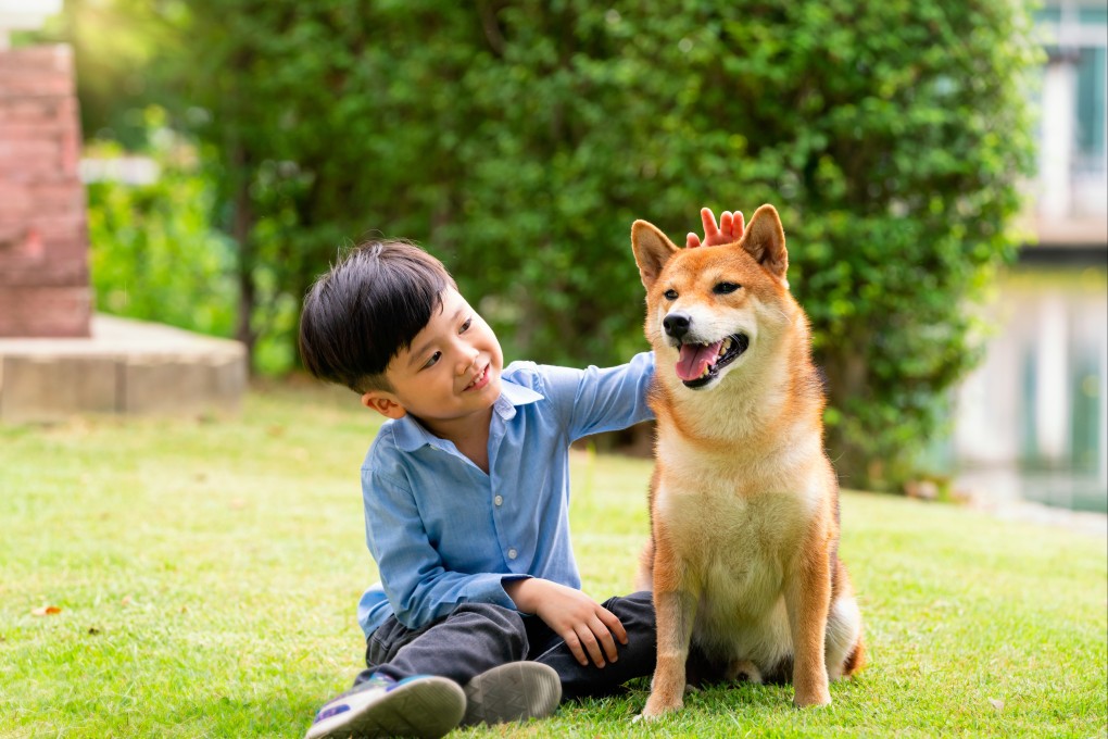 A boy sits with a Shiba Inu in a park. Having a pet dog at home could potentially help prevent eczema in children who are genetically predisposed to the condition, according to a new study. Photo: Shutterstock