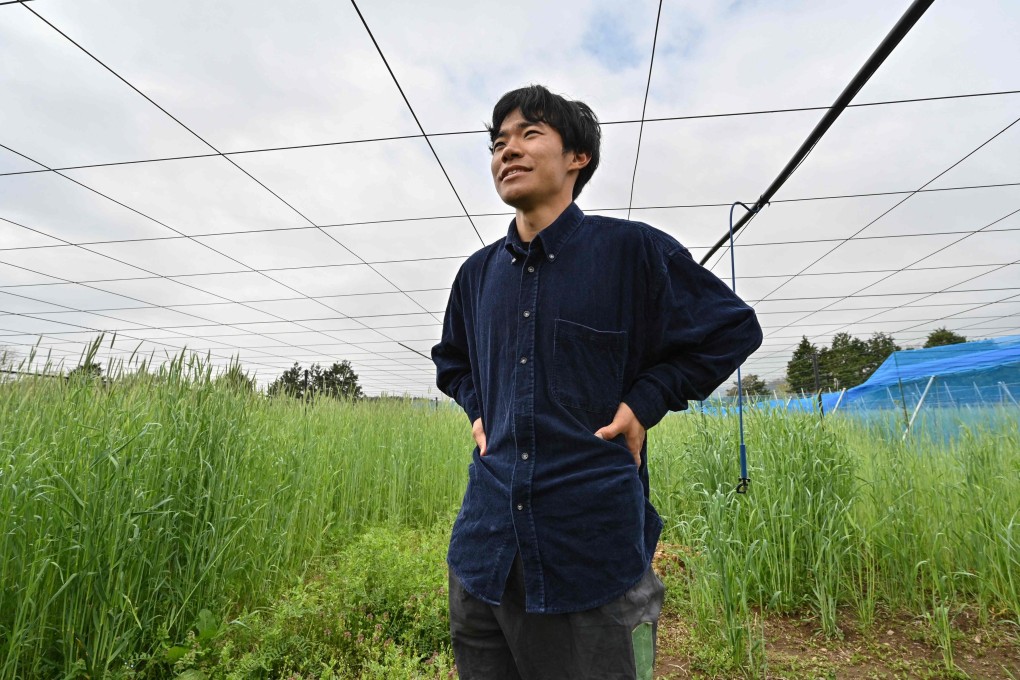 Takuya Haraguchi, 25, on his kiwi farm in Okuma, Fukushima. The Japanese farmer aims to show what the area, now deemed safe to grow food, “is really like”. Photo: AFP