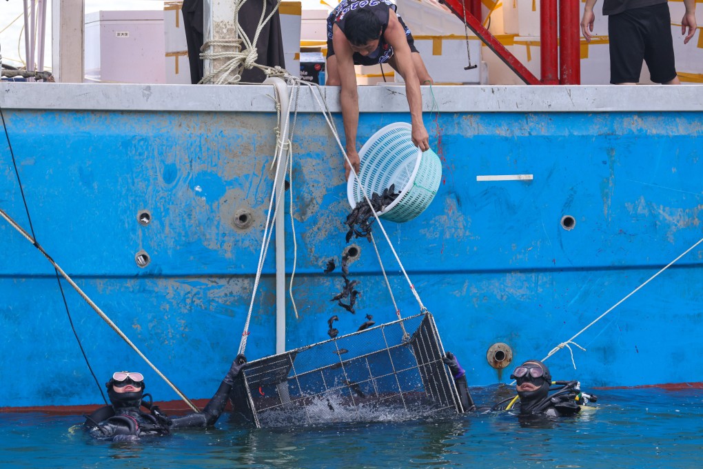The Airport Authority releases juvenile fish into the waters to the west of the airport. Photo: Nora Tam