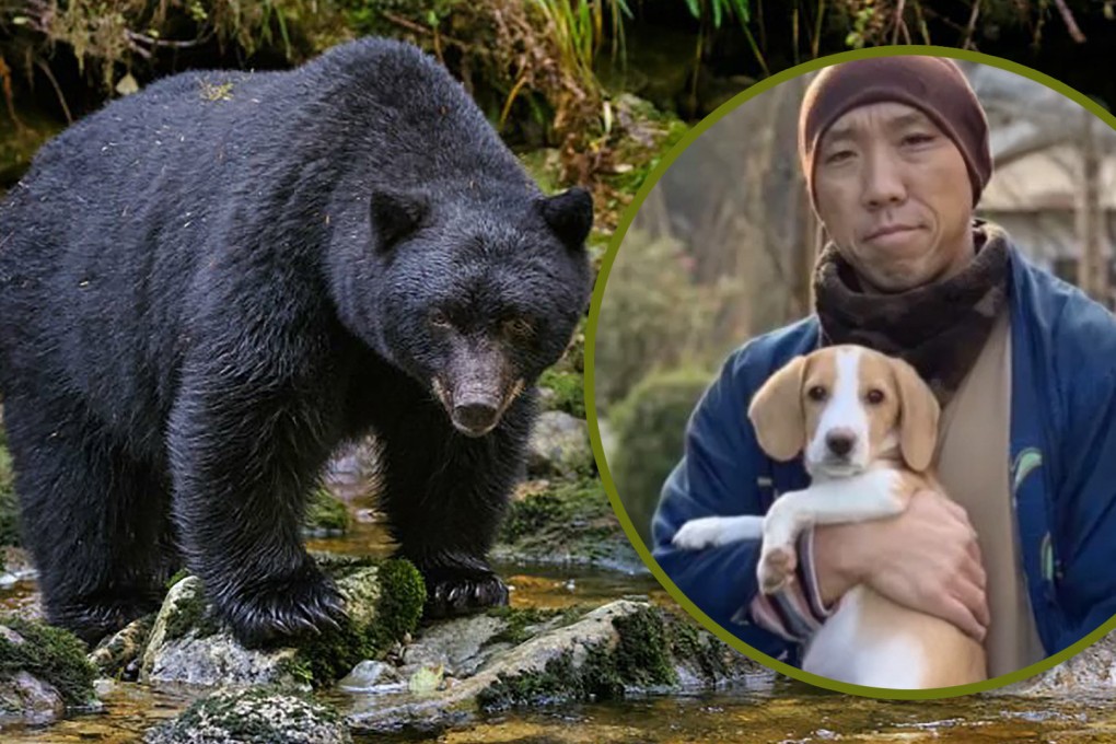 A Japanese monk took in an abandoned dog that was considered too noisy, and the canine later saved him from a fierce bear. Photo: SCMP composite/Shutterstock/QQ.com