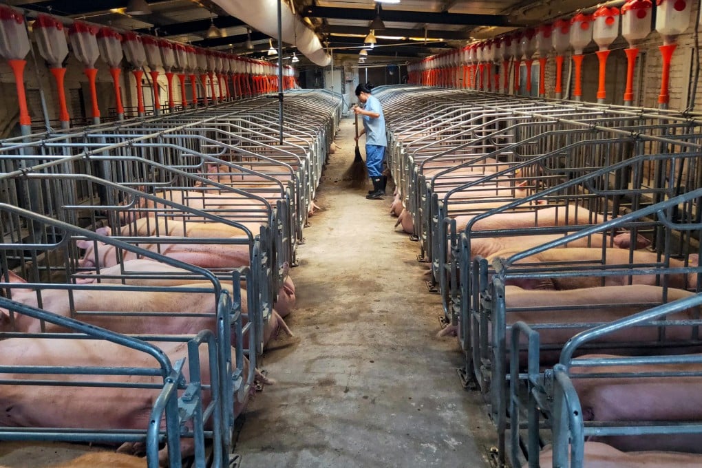 A pig farm is seen in China’s Jiangxi province. A million pigs will reportedly be culled across the country. Photo: Xinhua