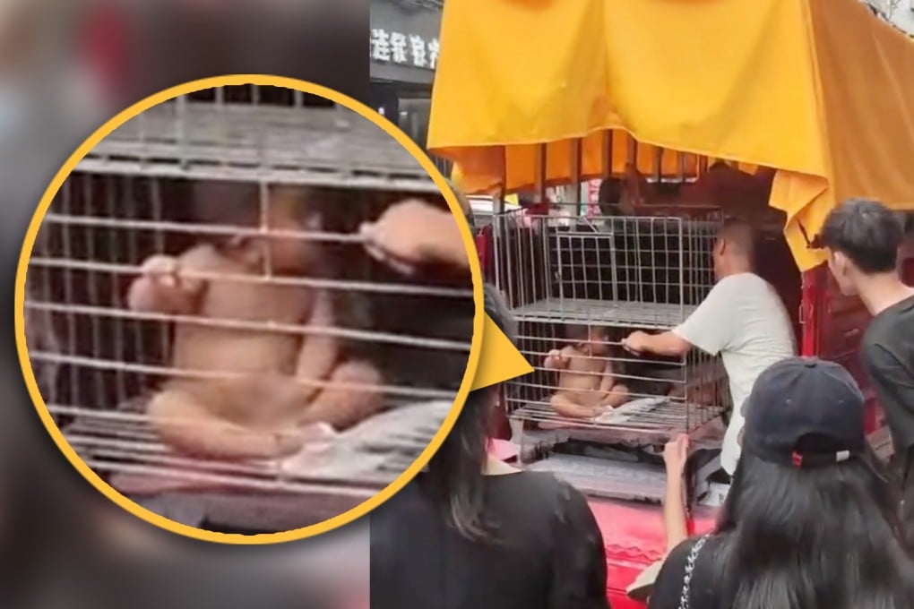 A father in China has been slammed for locking his naked toddler son in an iron cage then claiming the pen was used to prevent the child wandering. Photo: SCMP composite/Douyin
