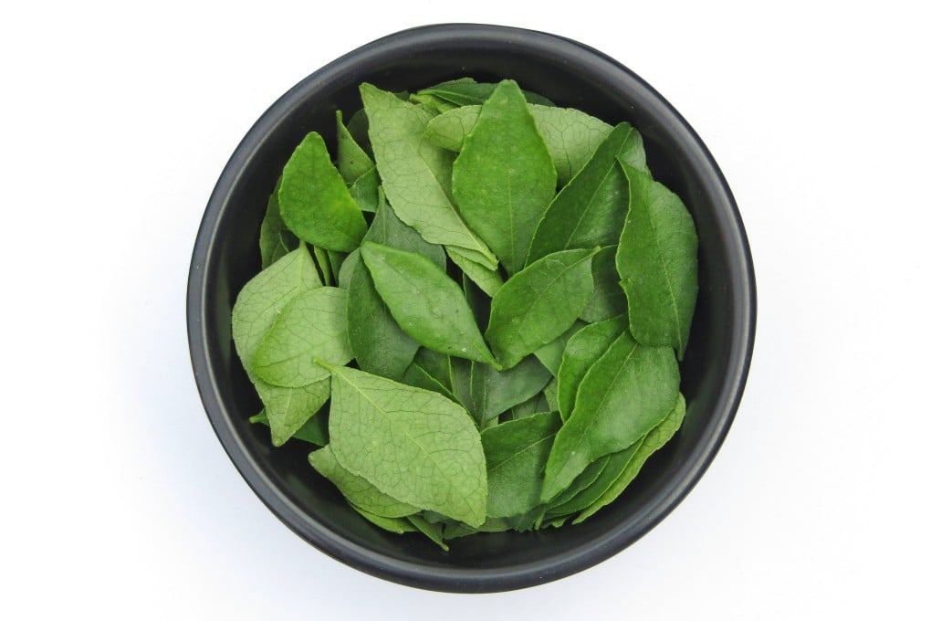 Curry leaf is a slightly bitter spice used in kitchens from India to Vietnam. Photo: Shutterstock