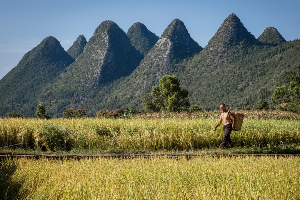 A farmer in China’s Wanfenglin, a valley of rice paddies and quaint villages hemmed in by limestone karst formations. Photo: Chan Kit Yeng