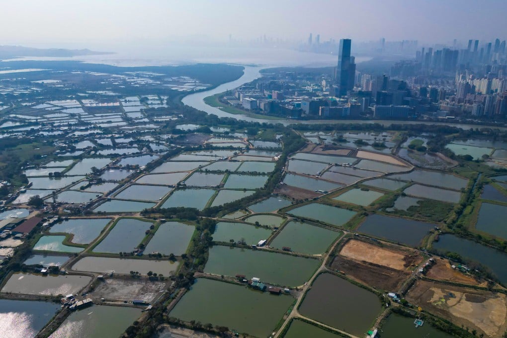 The Northern Metropolis is a 30,000-hectare development project planned for the New Territories. Local extinction is often irreversible, which underscores the need for proactive measures like integrating biodiversity into development planning. Photo: May Tse