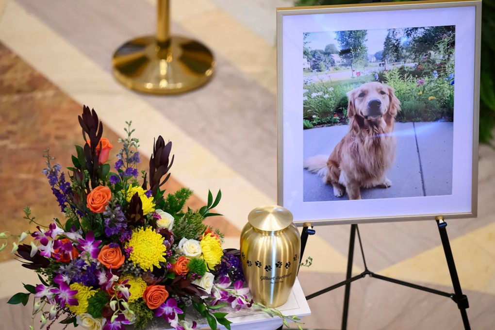 The urn carrying the remains of family dog Gilbert sits next to the caskets of Melissa and Mark Hortman in the State Capitol Rotunda on Friday. Photo: TNS