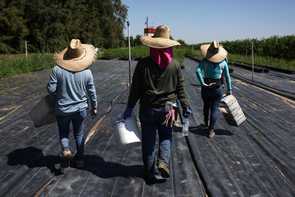Guatemalan immigrants carry supplies into a field at a farm in Kern County, California. Photo: Reuters