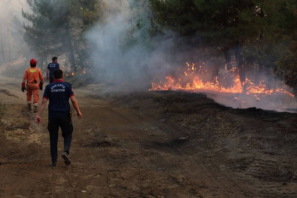 Crews work to extinguish a wildfire in Sakarya as more than 50,000 people have been evacuated as Turkish firefighters battle a string of wildfires. Photo: DHA/AFP