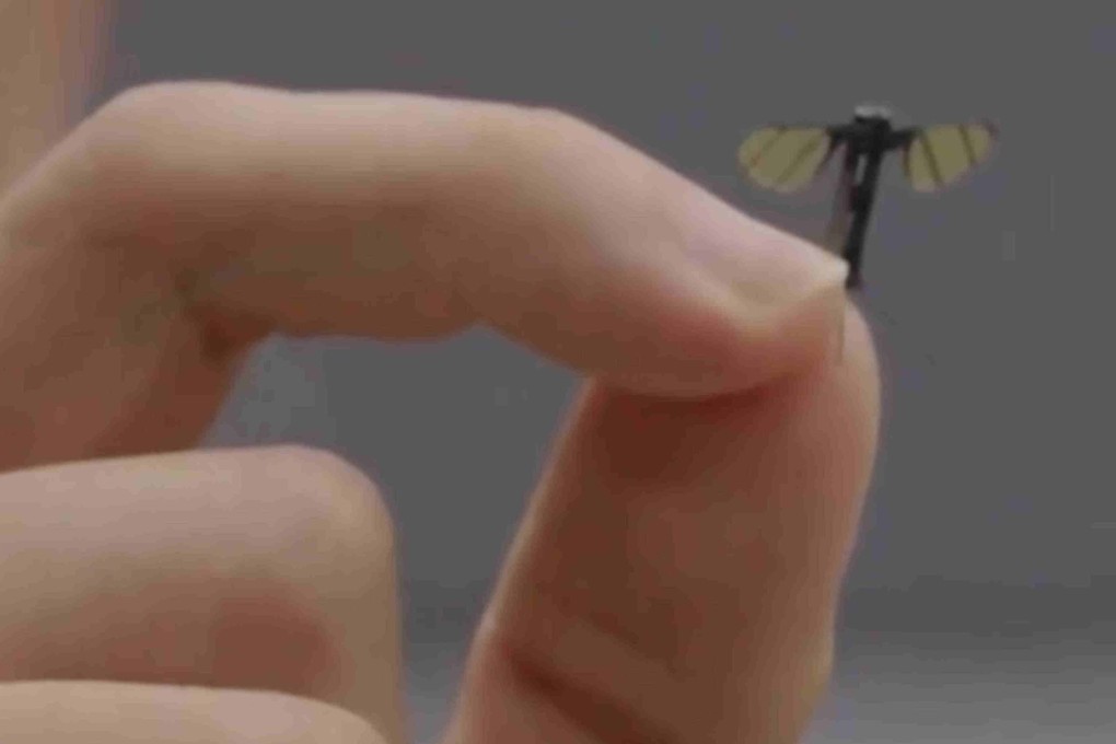 A CCTV screenshot shows a Chinese mosquito-sized UAV developed at the National University of Defence Technology and suited to covert military operations. Photo: CCTV