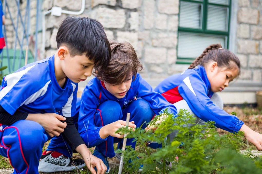 Teaching students AI skills allows them to unlock new levels of creativity. Photo: French International School
