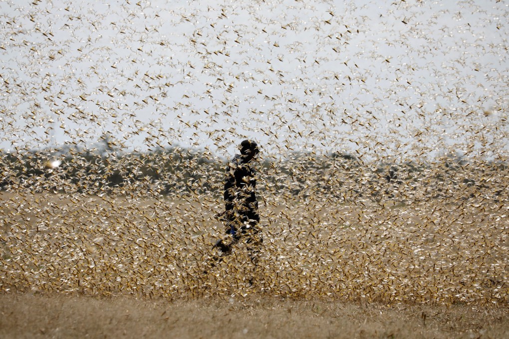 Strong financial support and a commitment to agricultural research have helped China to develop world-class entomological radar technology, a draw for top scientists. Photo: Reuters