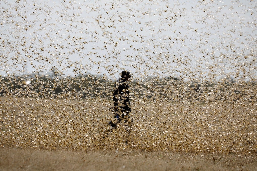 Strong financial support and a commitment to agricultural research have helped China to develop world-class entomological radar technology, a draw for top scientists. Photo: Reuters