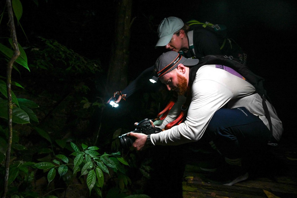 British tourists Thom Harris and Lauren Heywood take part in frogging activity at Kubah National Park in Borneo. More tourists are going on frogging tours, which spotlight the island’s frogs. Photo: AFP