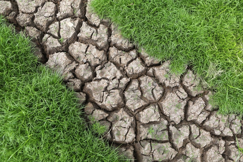 Perubahan Iklim dan Ancaman Kekeringan pada Produksi Semikonduktor Global