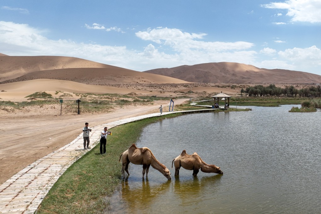 Tourists take photos of camels in the Badain Jaran Desert in China’s Inner Mongolia autonomous region. Photo: Xinhua