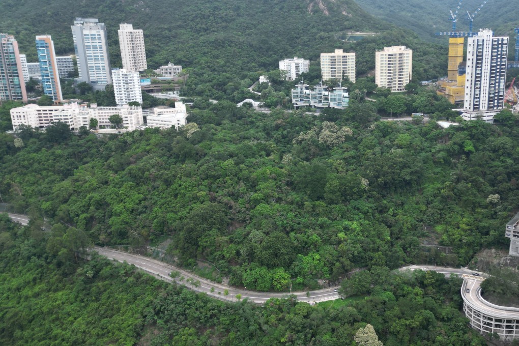 The initial proposal also met with backlash over plans to build on a green belt in the area. Photo: Dickson Lee