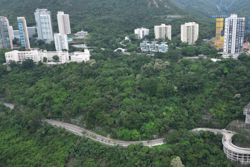 The initial proposal also met with backlash over plans to build on a green belt in the area. Photo: Dickson Lee