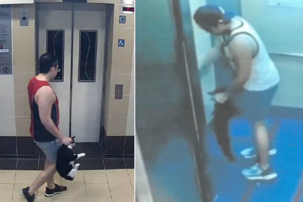 Barrie Lin Pengli seen in police camera footage with the two cats he threw down from public housing blocks. Photo: Handout