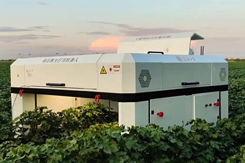 The laser topping robot in operation in a Xinjiang cotton field. Photo: Handout