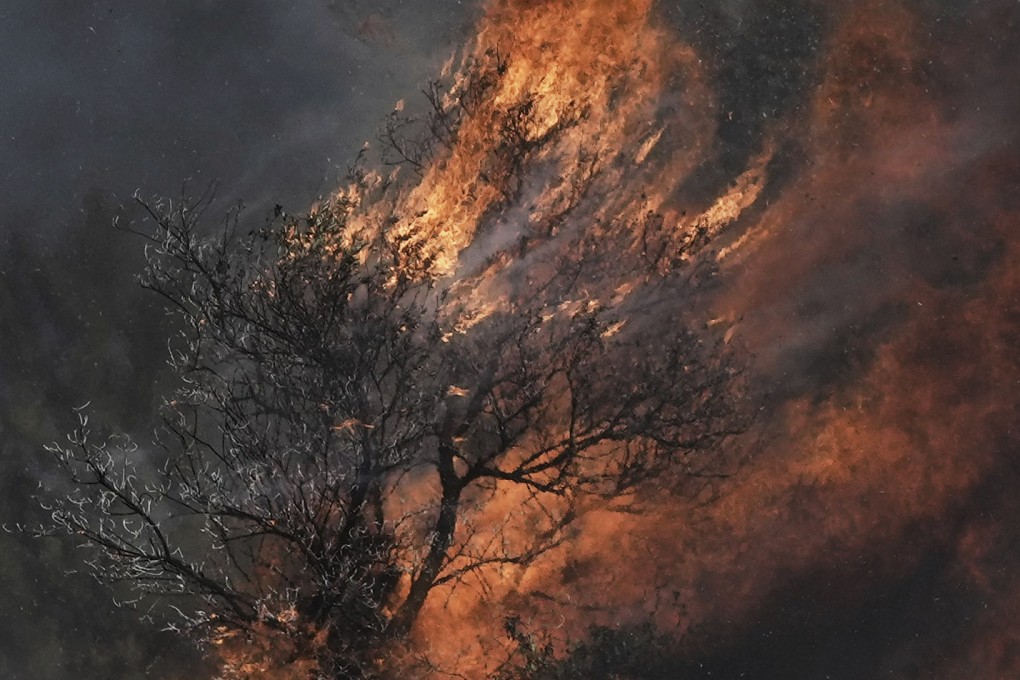 An olive tree burns in a Palestinian village near the West Bank town of Sinjil after Friday’s clashes. Photo: AP