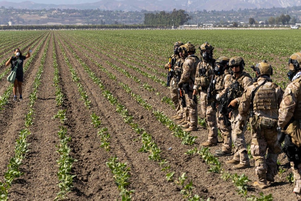 A woman raises her hands as Customs and Border Protection officers extend their skirmish line into a crop field during a raid by Federal immigration agents at Glass House Farms in Camarillo, California, on Thursday. Photo: AFP