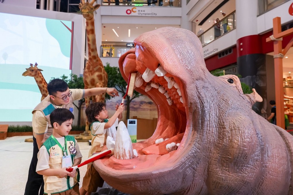 Animal-lovers can take part in an “Animal Care Intern” immersive work experience programme this weekend at the Olympian City shopping centre. Photo: Olympian City.