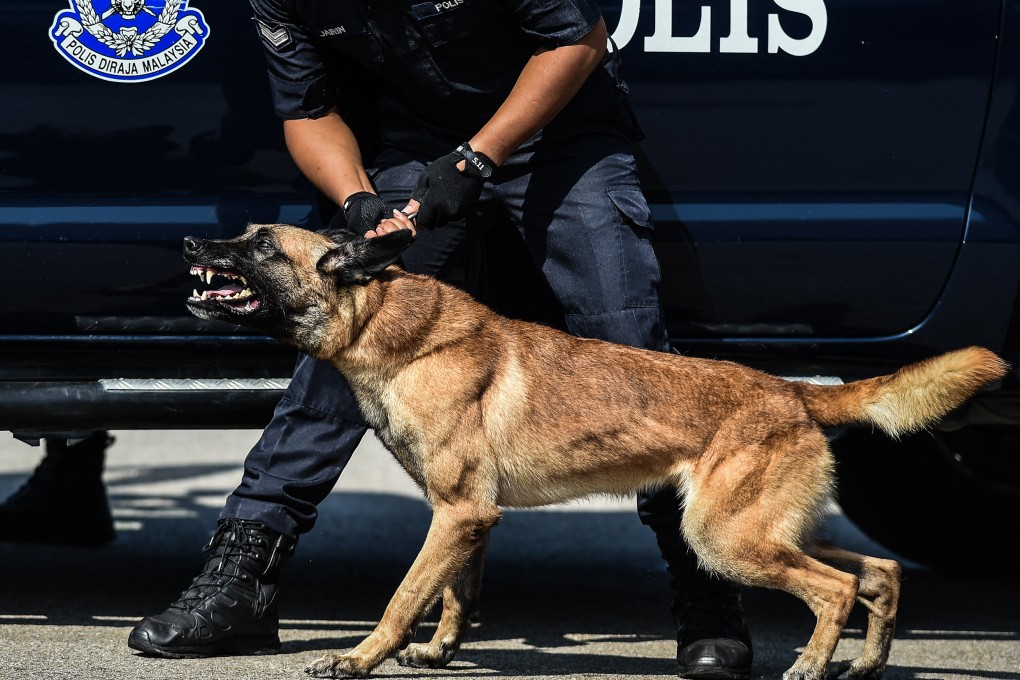 A police dog from a K-9 unit takes part in a Police Day parade in Malaysia. The latest violent incident unfolded in Seri Alam township, less than an hour’s drive from the Singapore border. Photo: AFP