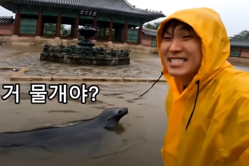 A seal is depicted swimming through a flooded Gyeongbokgung Palace in this still from an AI-generated video. Photo: YouTube/골파닭