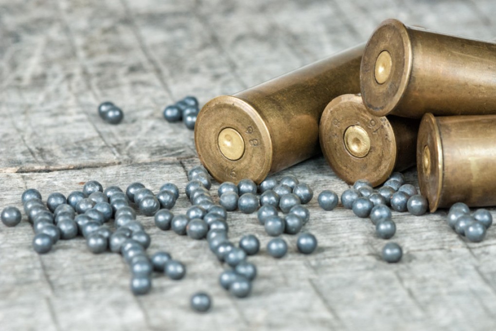 South Korean police recovered a cache of explosive devices from the suspect’s home. Photo: Shutterstock