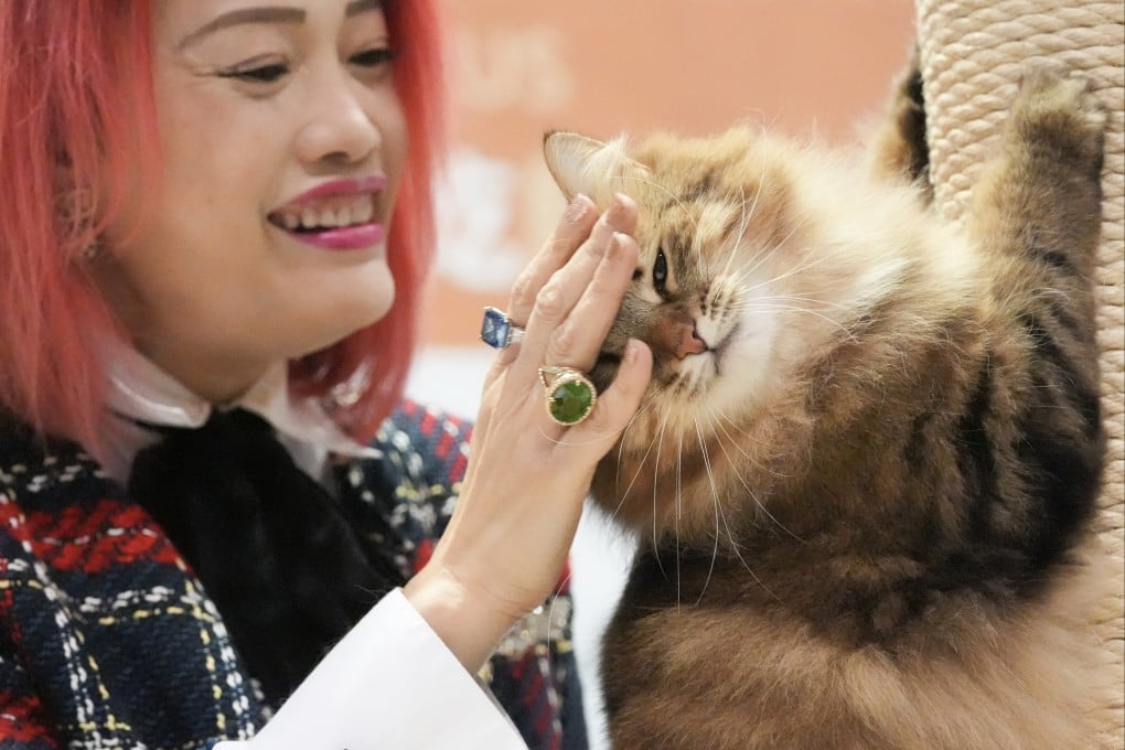 In Hong Kong, animal owners spent an average of nearly HK$700,000 on care-related items and services over their pets’ lifetimes. Photo: Eugene Lee